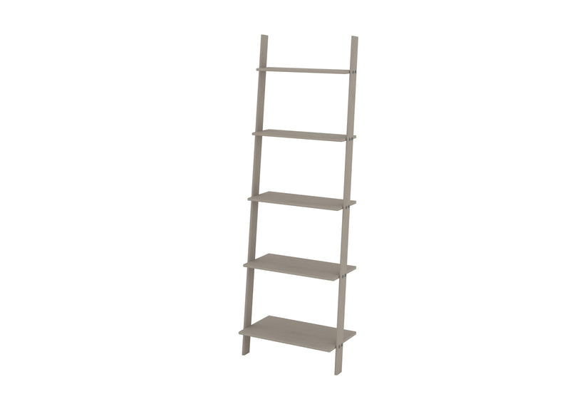 Ladder Design Shelf Unit